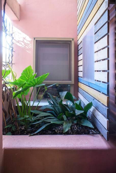 Little Gem In The Historical Center Of Apartment *